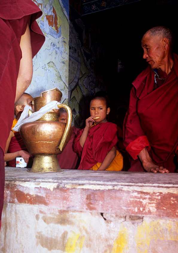 Child monk ladakh